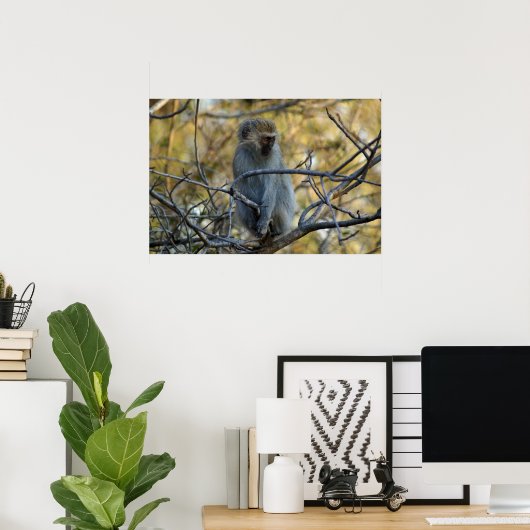 Black Baboon Poster (Thuiskantoor)