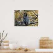 Black Baboon Poster (Keuken)