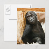 Black Baby Monkey Briefkaart (Voorkant / Achterkant)