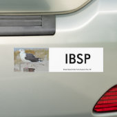 Black Backed Gull Seagull-reeks Bumpersticker (Op auto)