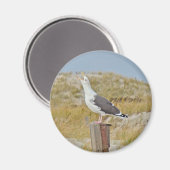 Black Backed Gull Seagull-reeks Magneet (Voorkant / Achterkant)