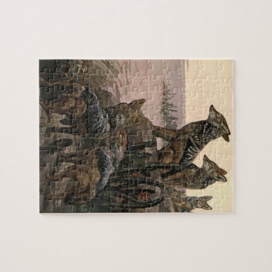 Black Backed Jackals van Winifred Austen Legpuzzel (Horizontaal)