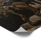 Black Backed Jackals van Winifred Austen Poster (Hoek)