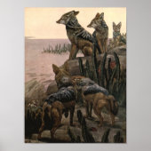 Black Backed Jackals van Winifred Austen Poster (Voorkant)