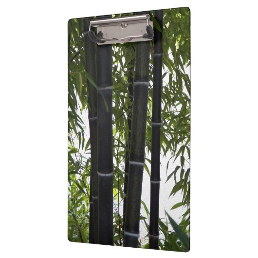 Black Bamboo Garden Fotografisch Klembord (Links)