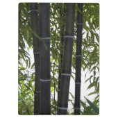 Black Bamboo Garden Fotografisch Klembord (Achterkant)