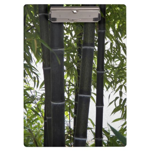 Black Bamboo Garden Fotografisch Klembord (Voorkant)
