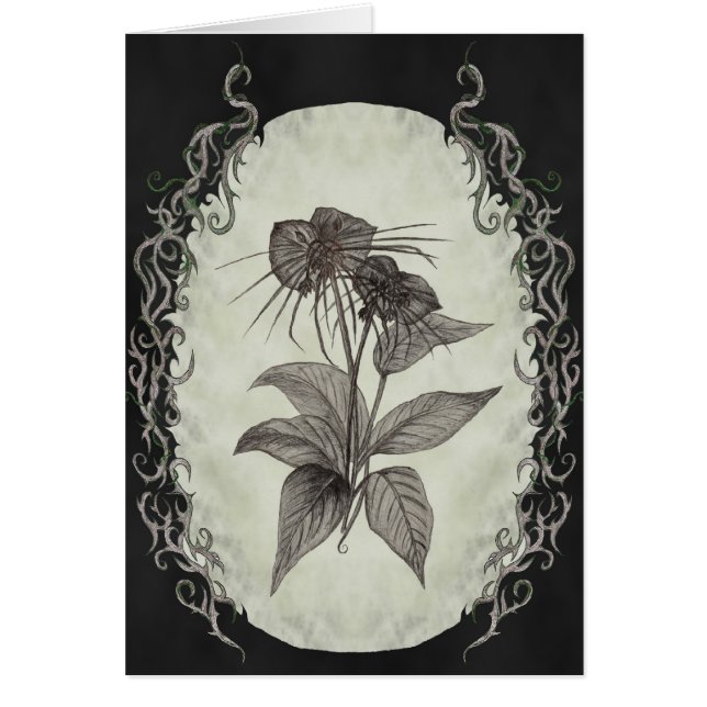 Black Bat Plant Card (Voorkant)