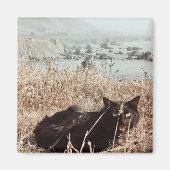 Black Beach Kat Magneet (Voorkant)