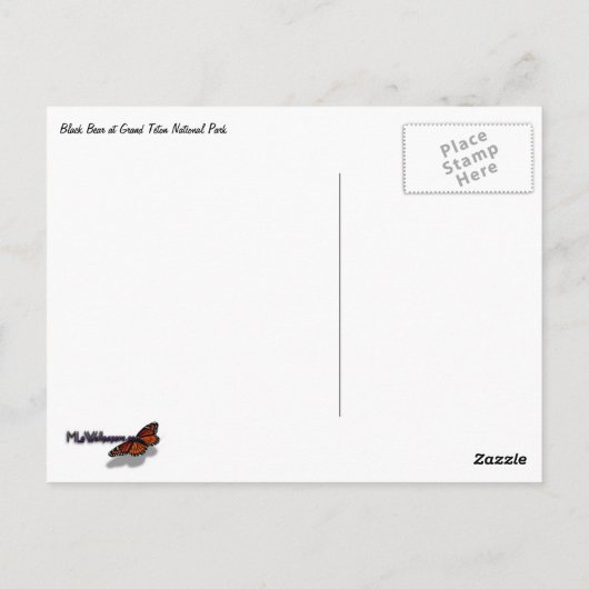 Black Bear at Grand Teton Briefkaart (Achterkant)