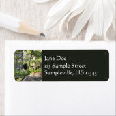 Black Bear at Grand Teton Etiket (Insitu)