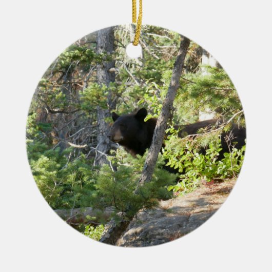 Black Bear at Grand Teton Keramisch Ornament (Voorkant)