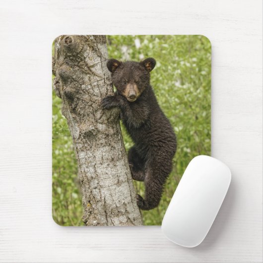 Black Bear Cub in Tree Muismat (Met muis)