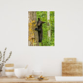 Black Bear Cub | Minnesota Poster (Keuken)