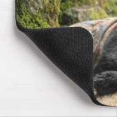Black Bear Hibernating Under a Quilt Muismat (Hoek)