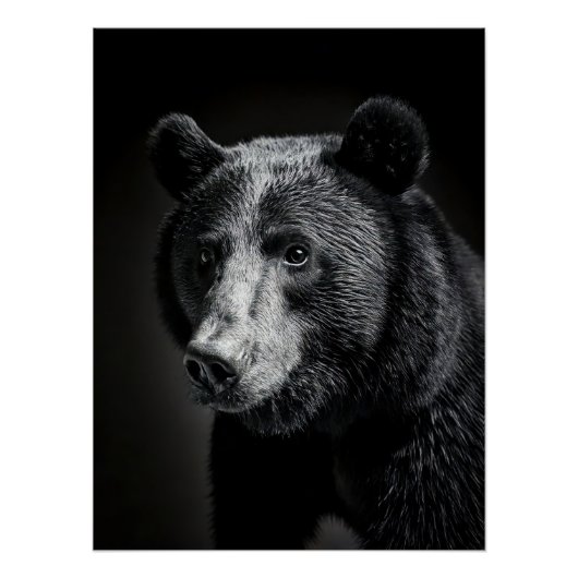 Black Bear in fine art photography Perfect Poster (Voorkant)