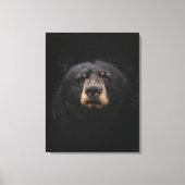 BLACK BEAR Opgespannen Canvas Print (Voorkant)