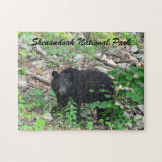 Black Bear Shenandoah National Park Virginia Legpuzzel