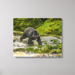 Black Bear Vissen   Qua Creek Brits-Columbia Canvas Afdruk