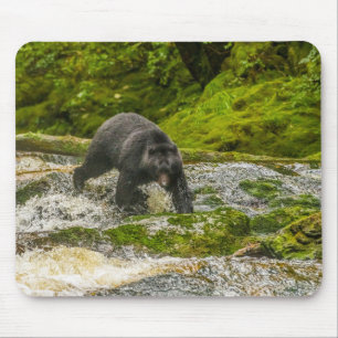 Black Bear Vissen Qua Creek Brits-Columbia Muismat