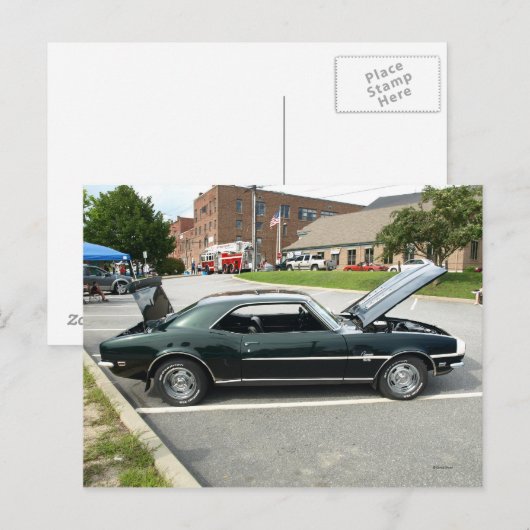 Black Beauty 2 Briefkaart (Voorkant / Achterkant)