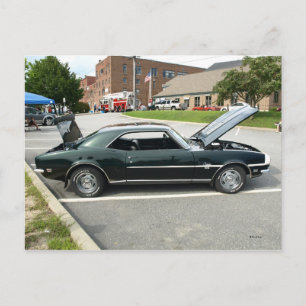 Black Beauty 2 Briefkaart