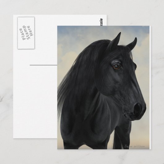Black Beauty - Black Friesian Horse Portret Briefkaart (Voorkant / Achterkant)