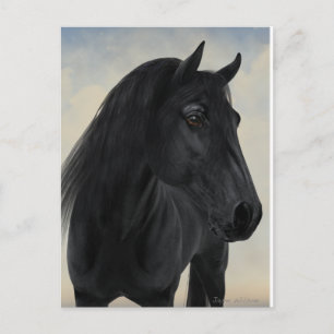 Black Beauty - Black Friesian Horse Portret Briefkaart