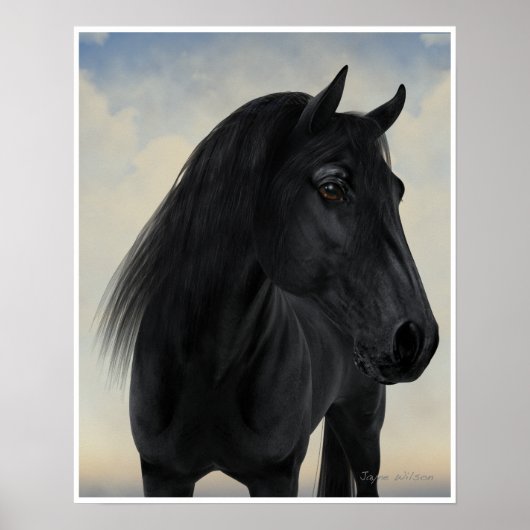 Black Beauty - Black Friesian Horse Portret Poster (Voorkant)