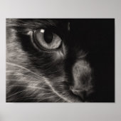 Black Beauty Cat-Poster Poster (Voorkant)