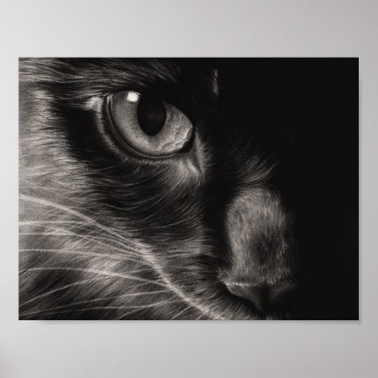 Black Beauty Cat-Poster Poster (Voorkant)