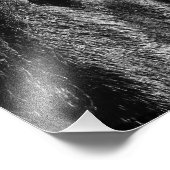 Black Beauty - Fotouitbreiding Foto Afdruk (Hoek)