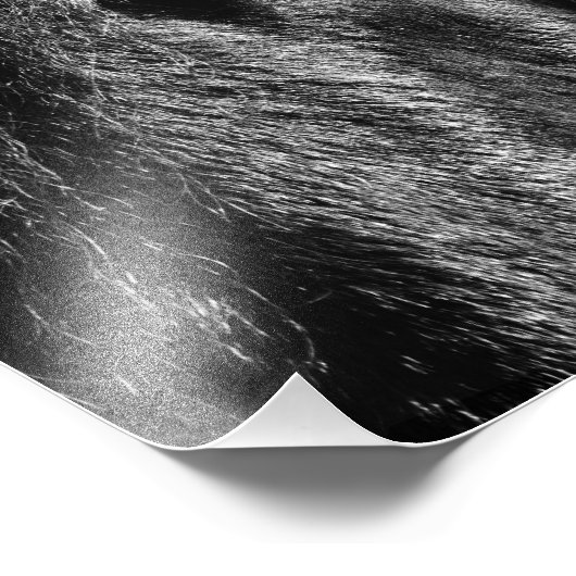 Black Beauty - Fotouitbreiding Foto Afdruk (Hoek)