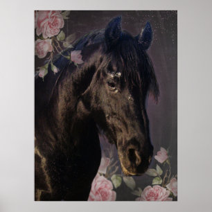 Black Beauty Friese Paard - Poster