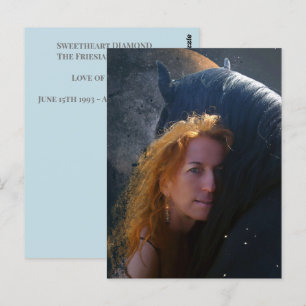 Black Beauty Friesian Horse - Briefkaart