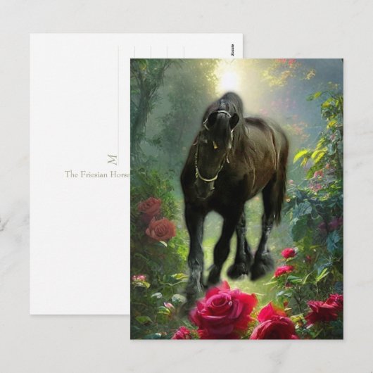 Black Beauty Friesian Horse Fantasy - Briefkaart (Voorkant / Achterkant)