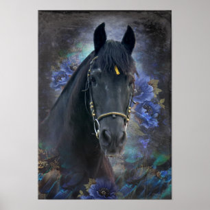 Black Beauty Friesian Horse - Poster