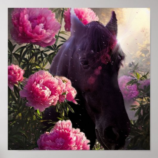 Black Beauty Friesian Horse - Poster (Voorkant)