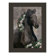 Black Beauty Friesian Horse - Poster