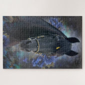 Black Beauty Friesian Horse - Puzzle Legpuzzel (Horizontaal)