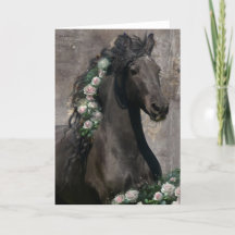 Black Beauty Friesian Horse - Wenskaart
