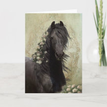 Black Beauty Friesian Horse - Wenskaart