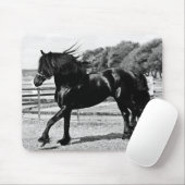 Black Beauty Horse Muismat (Met muis)