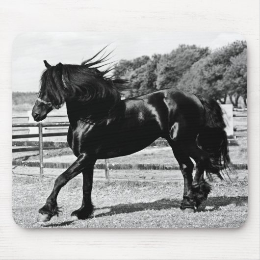 Black Beauty Horse Muismat (Voorkant)