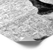 Black Beauty Horse Poster (Hoek)