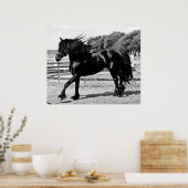 Black Beauty Horse Poster (Keuken)