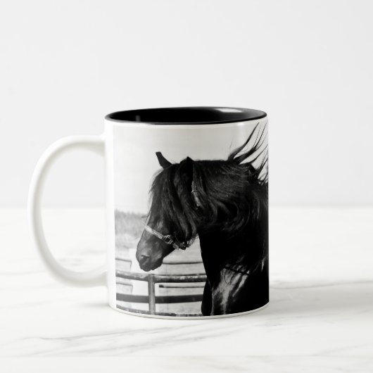 Black Beauty Horse Tweekleurige Koffiemok (Links)