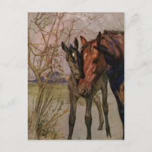  Black Beauty-paard "Mijn moeder en ik" Briefkaart