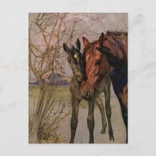  Black Beauty-paard "Mijn moeder en ik" Briefkaart (Voorkant)