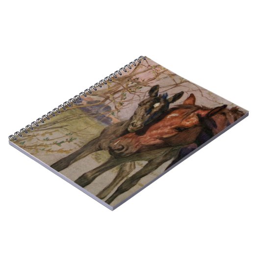 Black Beauty-paard "Mijn moeder en ik" Notitieboek (Linkerzijde)